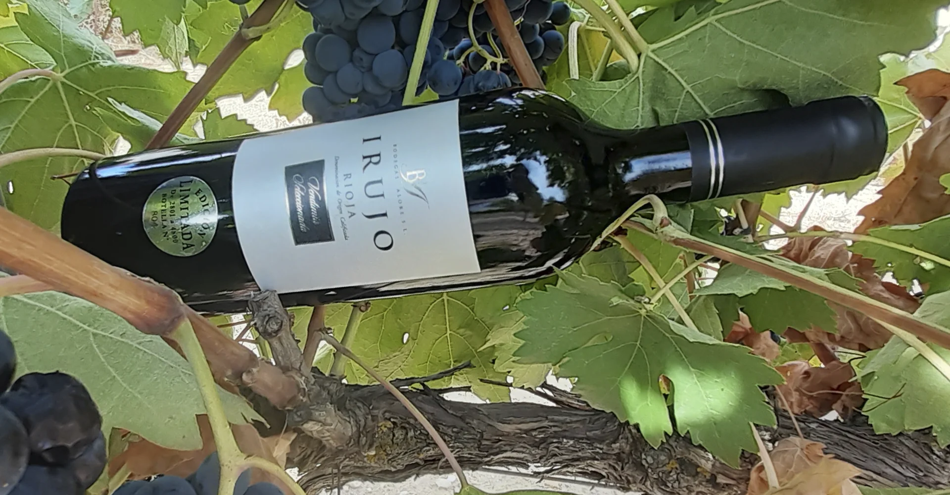 Img Vino Irujo Crianza 2019