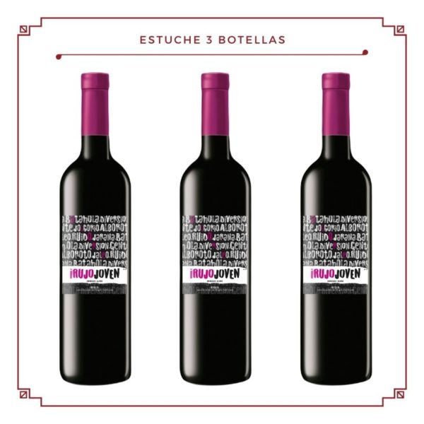 Estuche 3 botellas: Irujo Joven