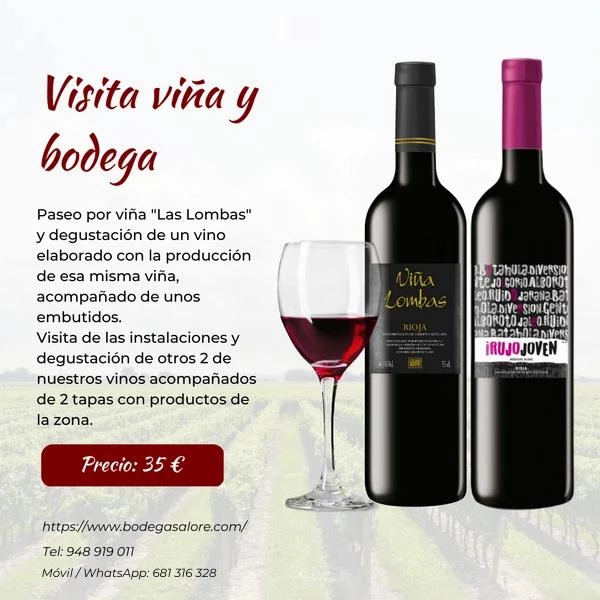 Visita vina y bodega img