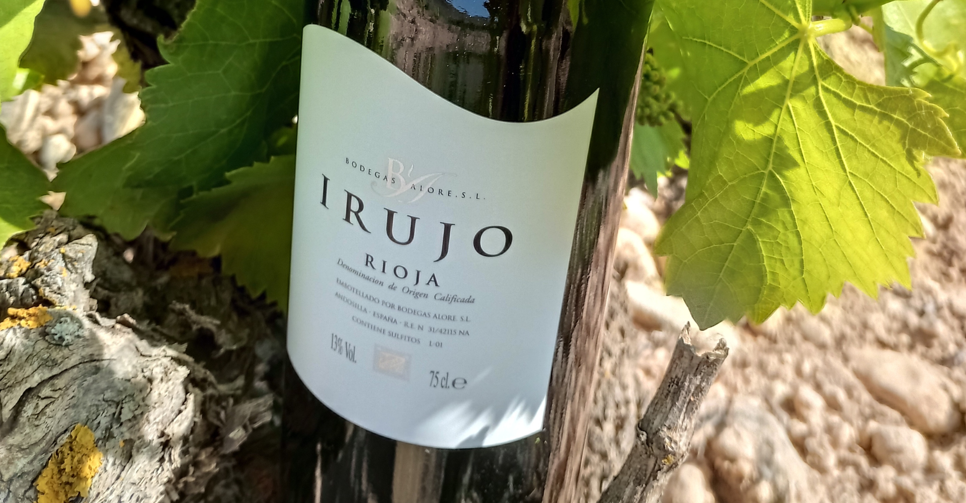 Img Vino Irujo Crianza 2019