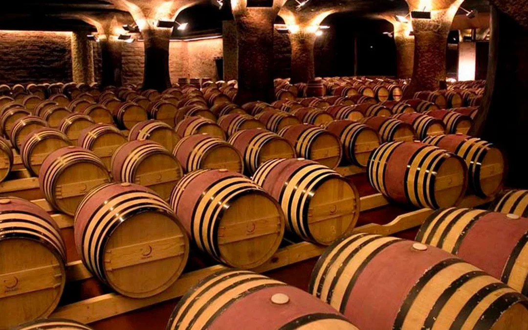 ¿El Vino Mejora con la Edad? Desmintiendo el Mito: Solo Algunos Vinos Están Hechos para Envejecer