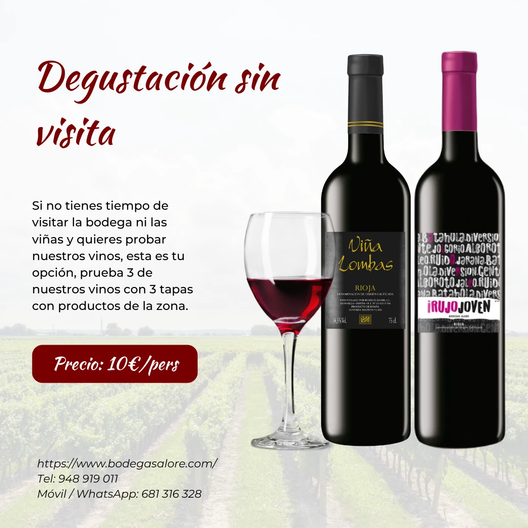 Visita viña paseo img