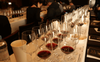 Armonías gastronómicas con nuestros vinos
