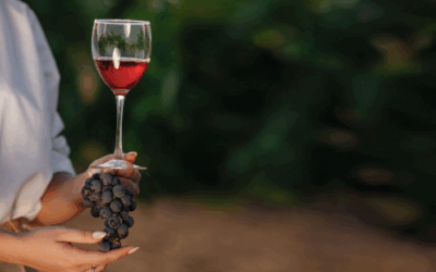 Análisis del suelo: la base silenciosa del vino