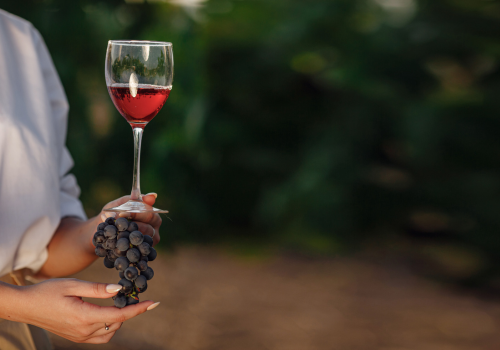 la-crianza-del-vino-enovalencia (Copiar) vino azul