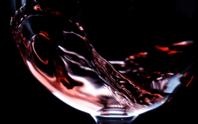 Agua y vino: el papel del recurso hídrico en la bodega