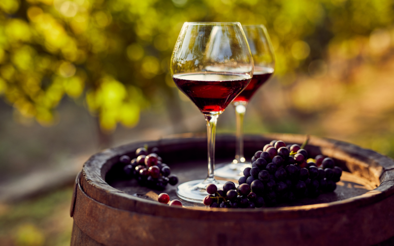 la-crianza-del-vino-enovalencia (Copiar) vino azul