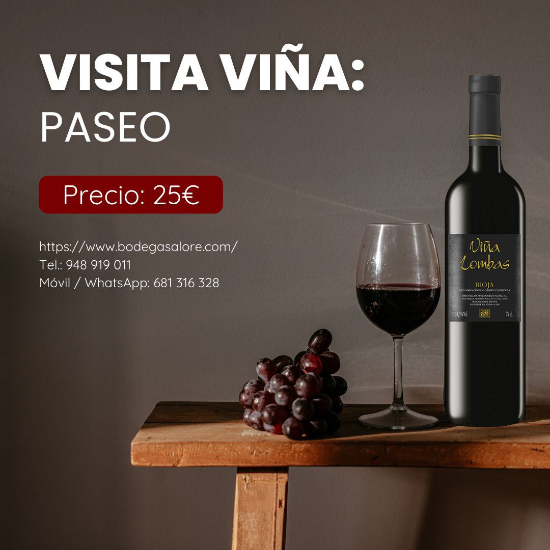 Visita viña paseo img