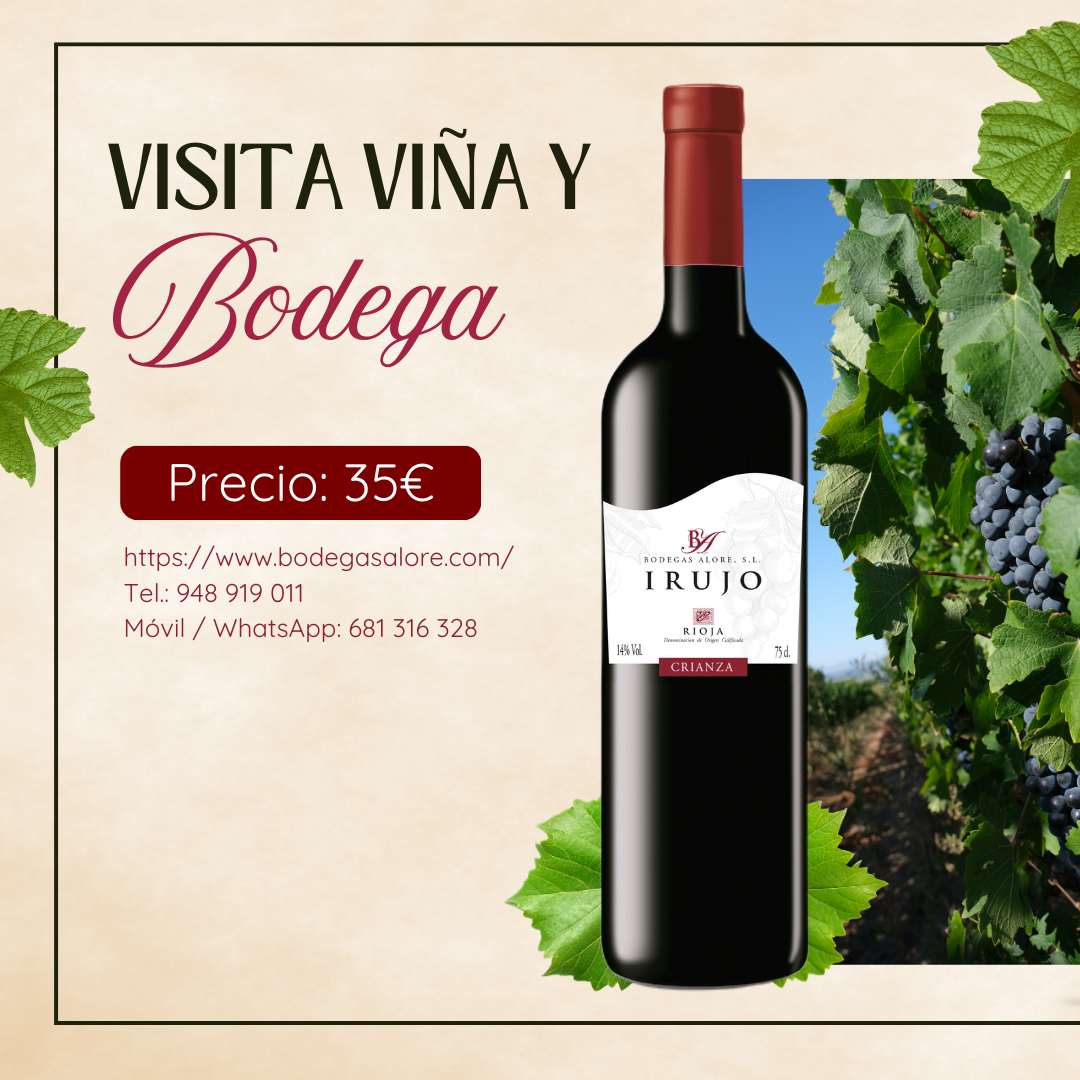 Visita vina y bodega img