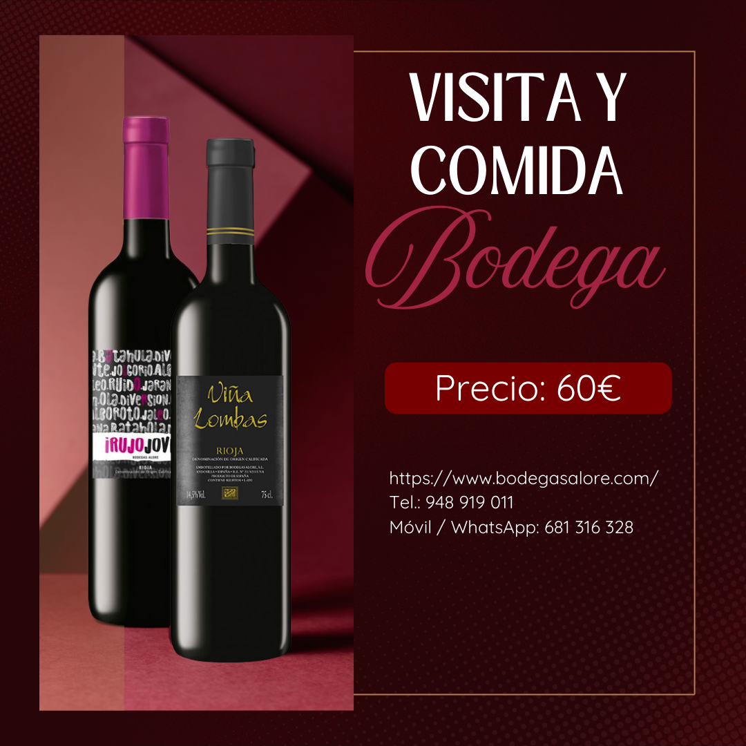 Visita viña coche img