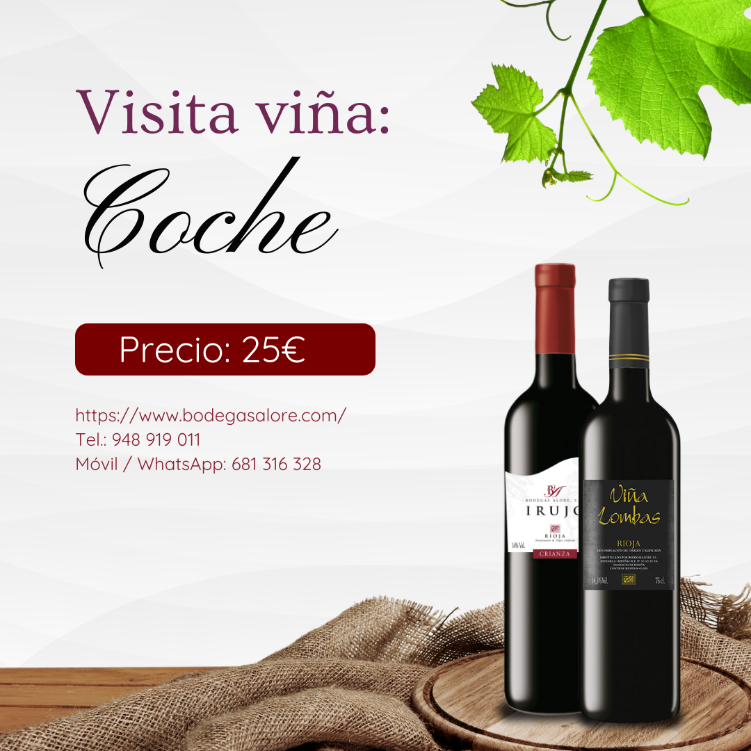 Visita viña coche img