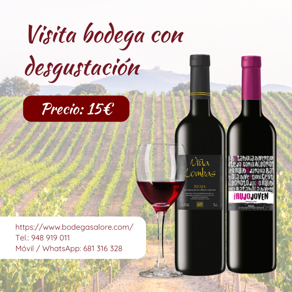 Foto cata Visita bodega con degustacion v2